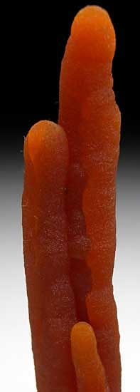 Calcite from Alzada, Carter Co., Montana [db_pics/pics/us123b.jpg]