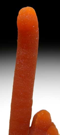 Calcite from Alzada, Carter Co., Montana [db_pics/pics/us124b.jpg]