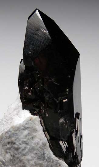 Neptunite from Gem Mine, San Benito Co., California [db_pics/pics/us128c.jpg]