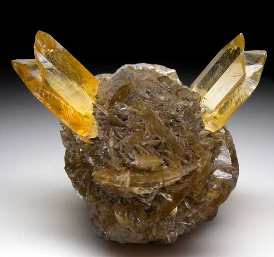 Selenite from Red River Floodway, Winnipeg, Manitoba, Canada [db_pics/pics/us141a.jpg]