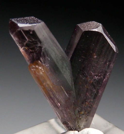 Diaspore from Milas, Mugla Prov., Turkey [db_pics/pics/v120c.jpg]