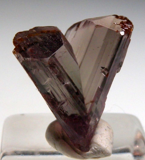 Diaspore from Milas, Mugla Prov., Turkey [db_pics/pics/v121d.jpg]