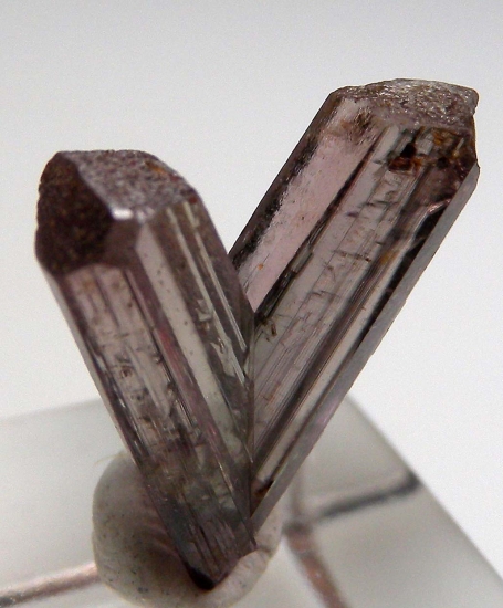 Diaspore from Milas, Mugla Prov., Turkey [db_pics/pics/v122c.jpg]