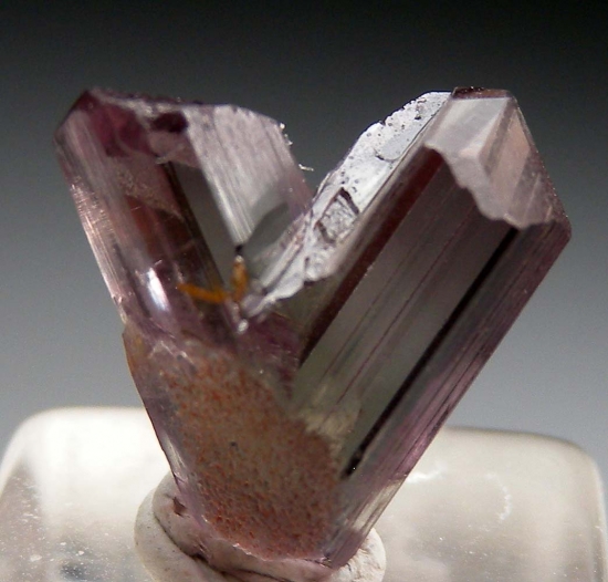 Diaspore from Milas, Mugla Prov., Turkey [db_pics/pics/v123a.jpg]