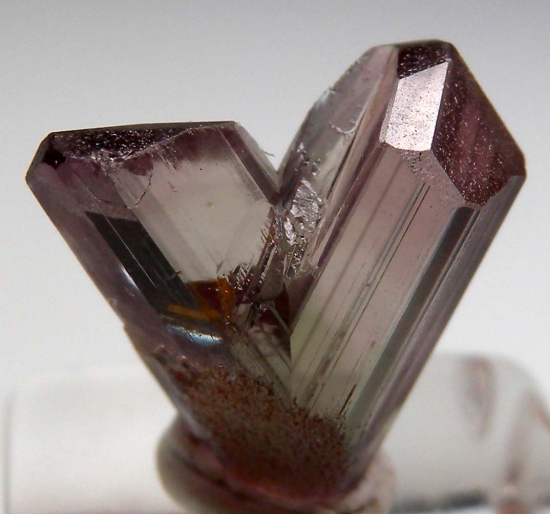 Diaspore from Milas, Mugla Prov., Turkey [db_pics/pics/v123c.jpg]