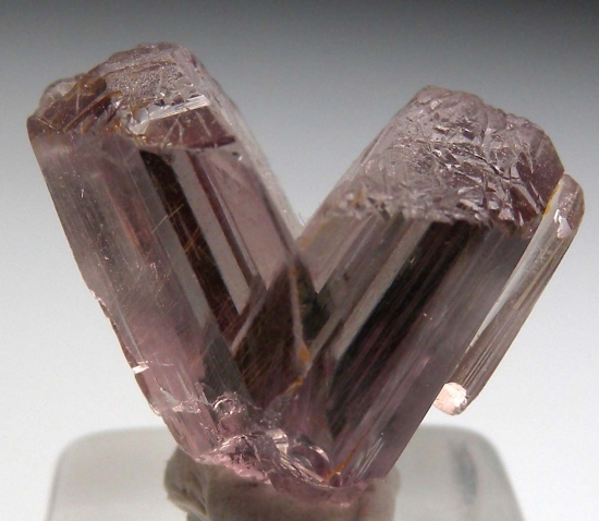 Diaspore from Milas, Mugla Prov., Turkey [db_pics/pics/v124a.jpg]