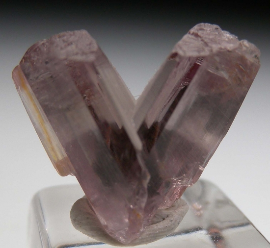 Diaspore from Milas, Mugla Prov., Turkey [db_pics/pics/v124b.jpg]