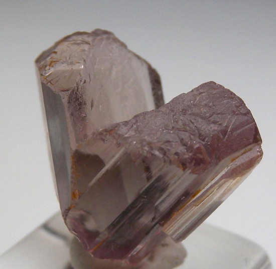 Diaspore from Milas, Mugla Prov., Turkey [db_pics/pics/v124c.jpg]