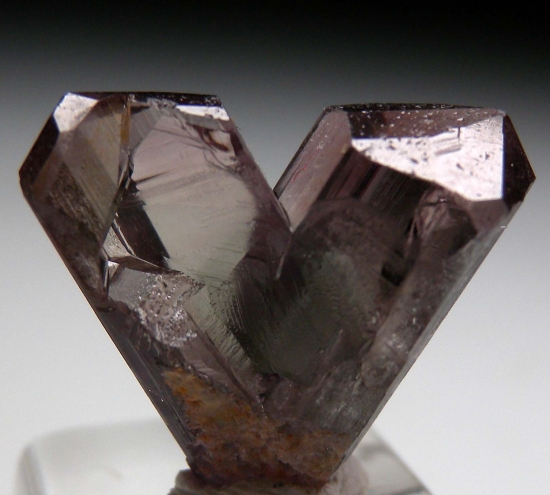 Diaspore from Milas, Mugla Prov., Turkey [db_pics/pics/v125b.jpg]