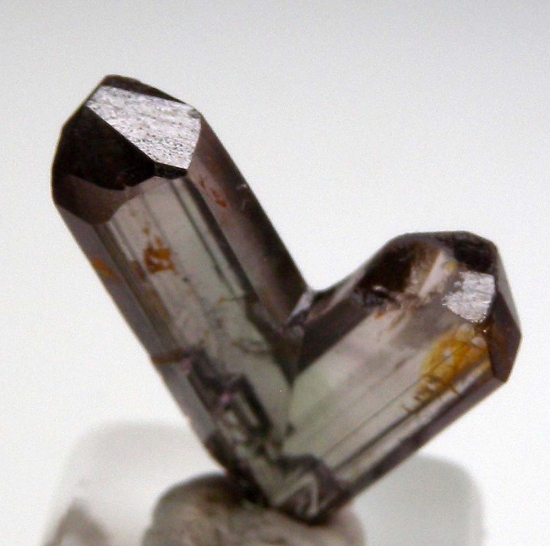 Diaspore from Milas, Mugla Prov., Turkey [db_pics/pics/v126b.jpg]