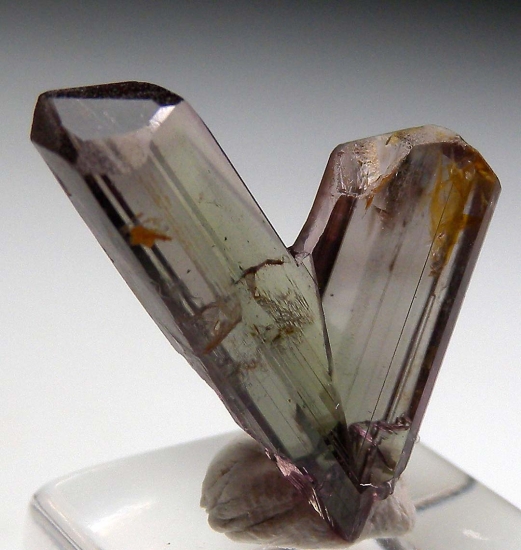 Diaspore from Milas, Mugla Prov., Turkey [db_pics/pics/v126c.jpg]