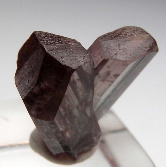 Diaspore from Milas, Mugla Prov., Turkey [db_pics/pics/v128b.jpg]