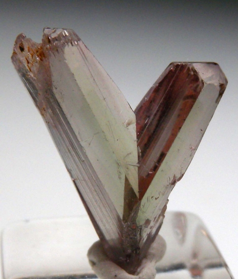 Diaspore from Milas, Mugla Prov., Turkey [db_pics/pics/v130b.jpg]