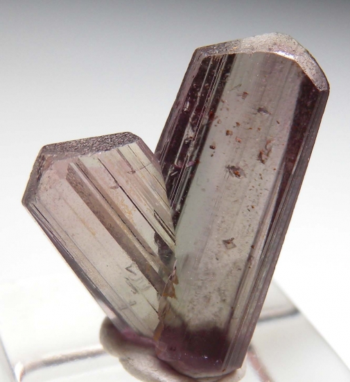 Diaspore from Milas, Mugla Prov., Turkey [db_pics/pics/v131a.jpg]