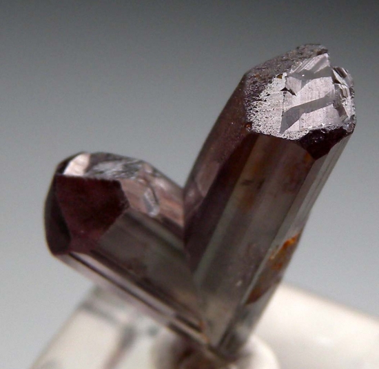 Diaspore from Milas, Mugla Prov., Turkey [db_pics/pics/v132d.jpg]