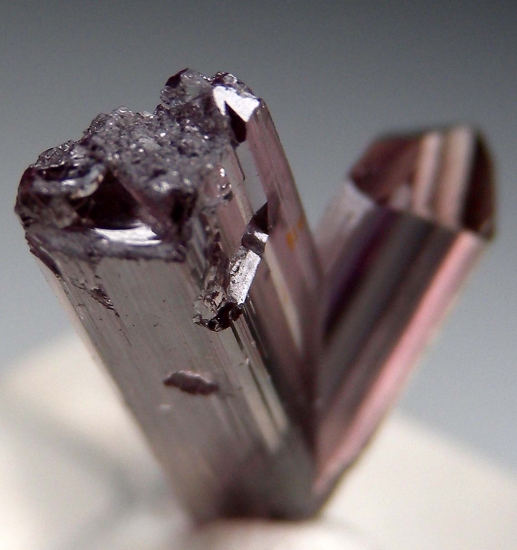 Diaspore from Pinarcik, Mugla Prov., Turkey [db_pics/pics/v133b.jpg]