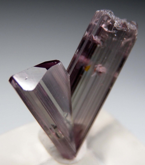 Diaspore from Pinarcik, Mugla Prov., Turkey [db_pics/pics/v133c.jpg]