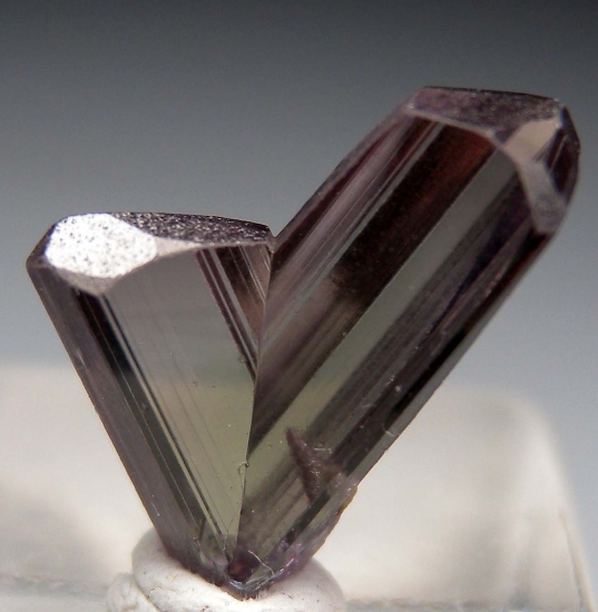 Diaspore from Pinarcik, Mugla Prov., Turkey [db_pics/pics/v134c.jpg]