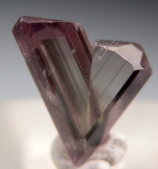 Diaspore from Pinarcik, Mugla Prov., Turkey [db_pics/pics/v138a.jpg]