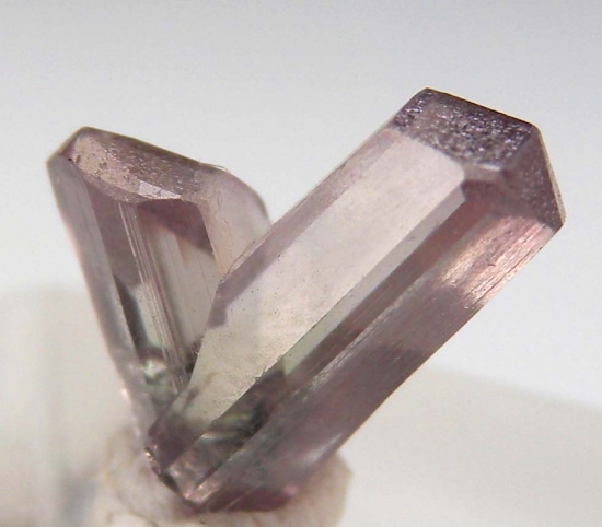 Diaspore from Pinarcik, Mugla Prov., Turkey [db_pics/pics/v139b.jpg]