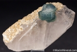 Apatite on Quartz from Panasquiera, Portugal [M681]