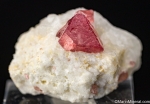 Spinel from Mogok, Myanmar [ST291]